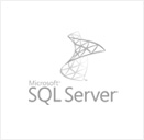 MSSQL Server developer MSSQL Server developer
